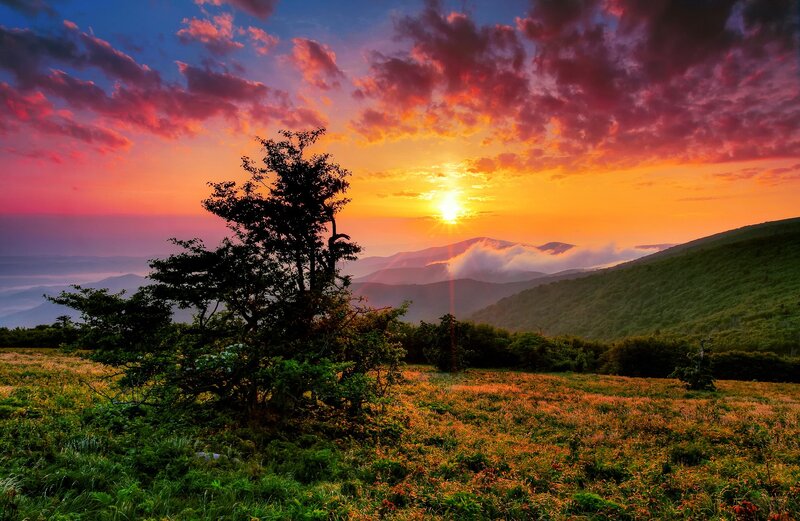 Sunset over Mountain Valley — Orange, Dramatic, Photograph, Tree
