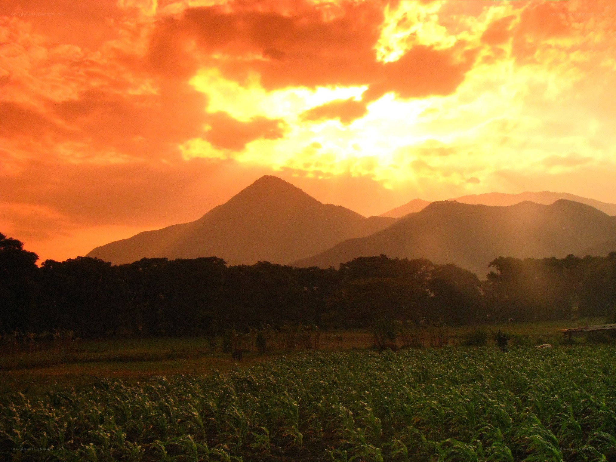 Sunset over mountains and fields