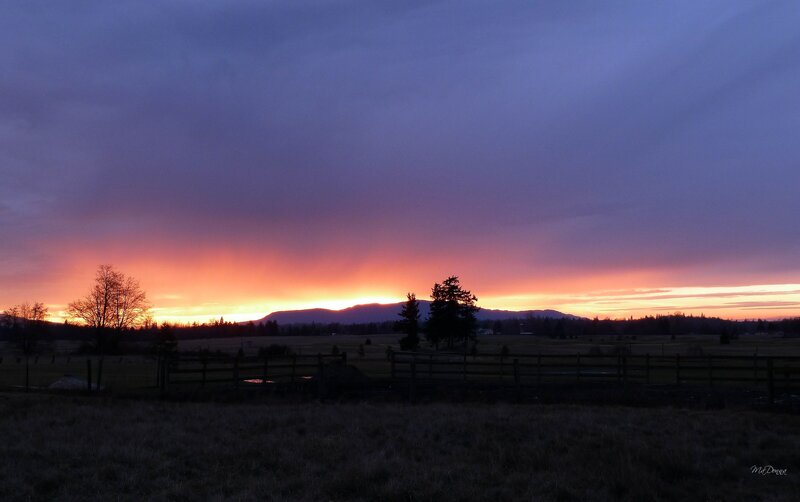 Sunset over Mountains — Purple
