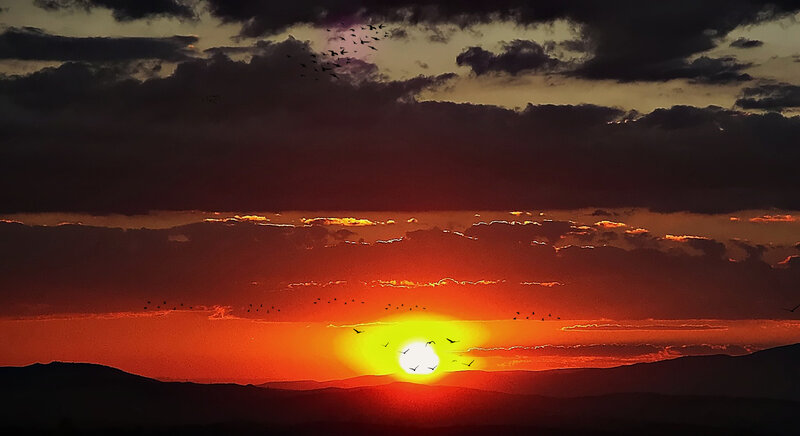 Sunset over Mountains — Red, Dramatic, Photograph, Birds