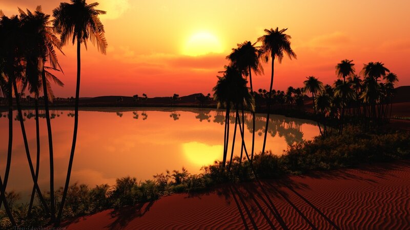 Sunset over oasis with palm trees