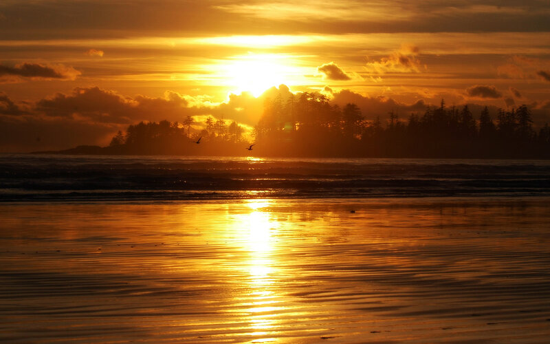 Sunset over Ocean Beach — Gold, Serene
