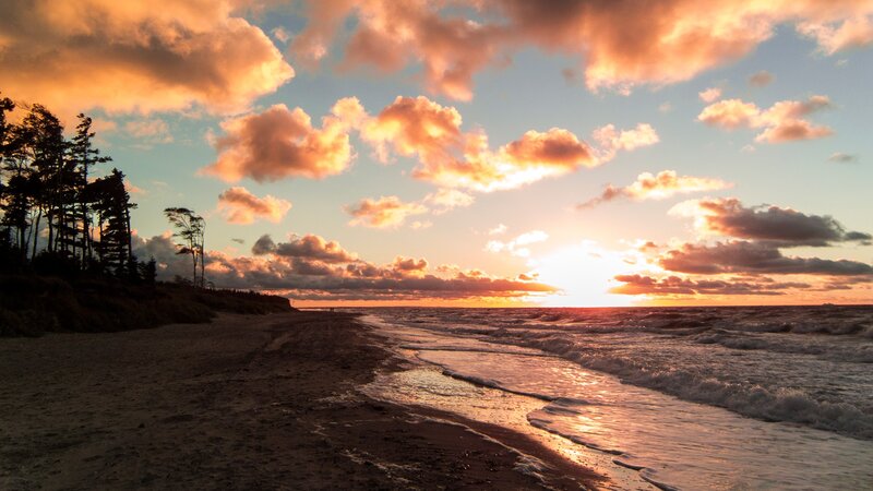 Sunset over Ocean Beach — Orange, Dramatic, Photograph, Trees