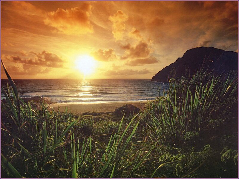 Sunset over Ocean Beach — Orange, Serene, Photograph, Grass