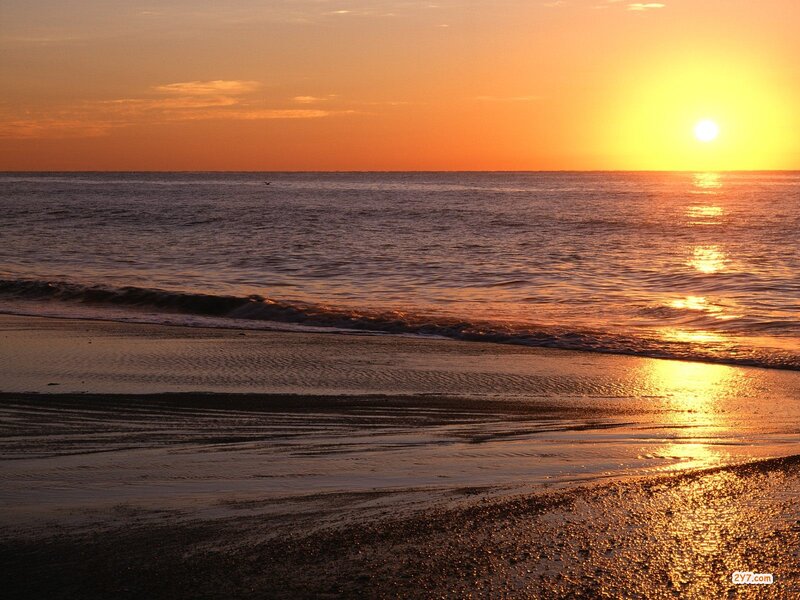 Sunset over Ocean Beach — Orange, Serene, Photograph, Sun, Bird