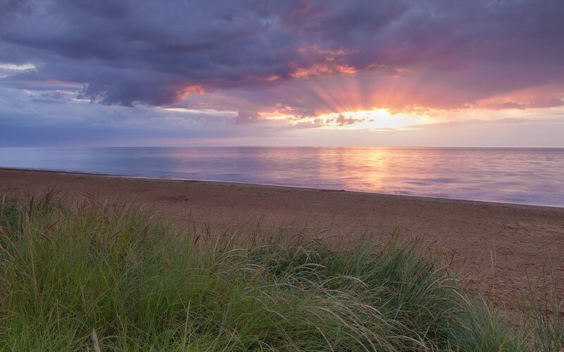 Sunset over Ocean Beach — Purple, Dramatic, Photograph, Sand, Grass