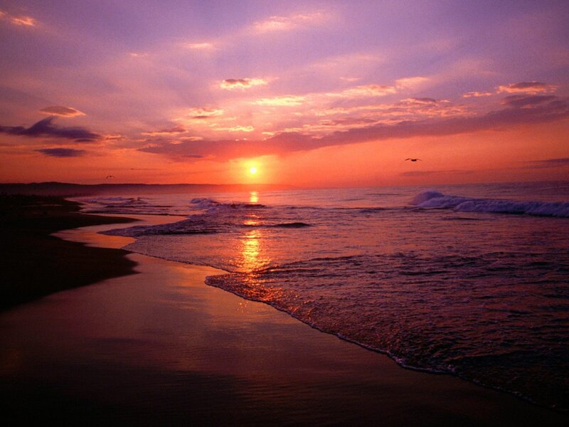 Sunset over Ocean Beach — Purple, Serene, Photograph, Sun