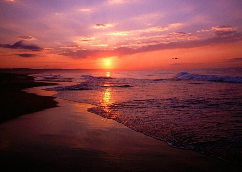 Sunset over Ocean Beach — Purple, Serene