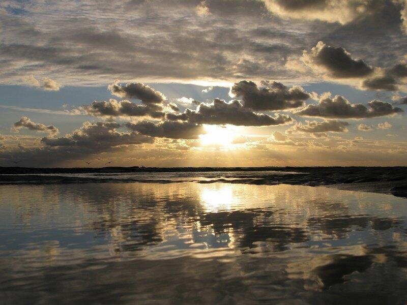 Sunset over Ocean — Blue, Dramatic, Photograph, Clouds, Sun, Birds
