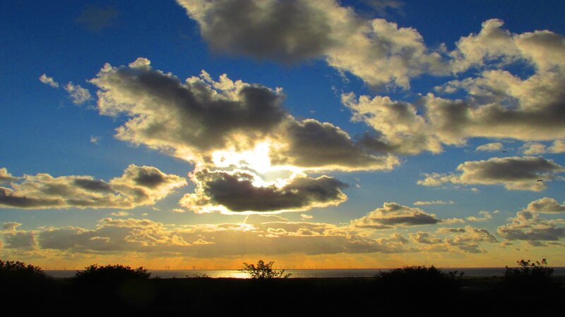 Sunset over Ocean — Blue, Dramatic, Photograph, Clouds, Sun, Trees