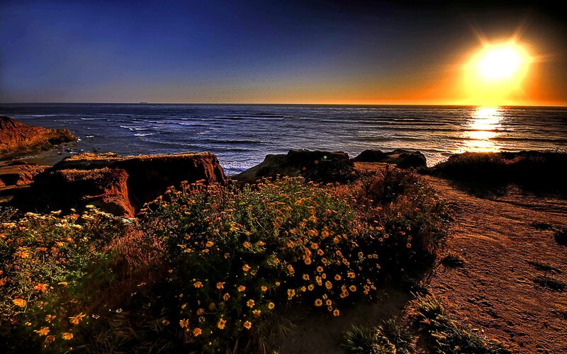 Sunset over Ocean — Blue, Dramatic, Photograph, Flowers