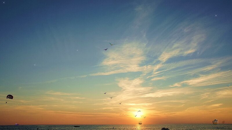 Sunset over Ocean — Blue, Serene, Photograph, Birds