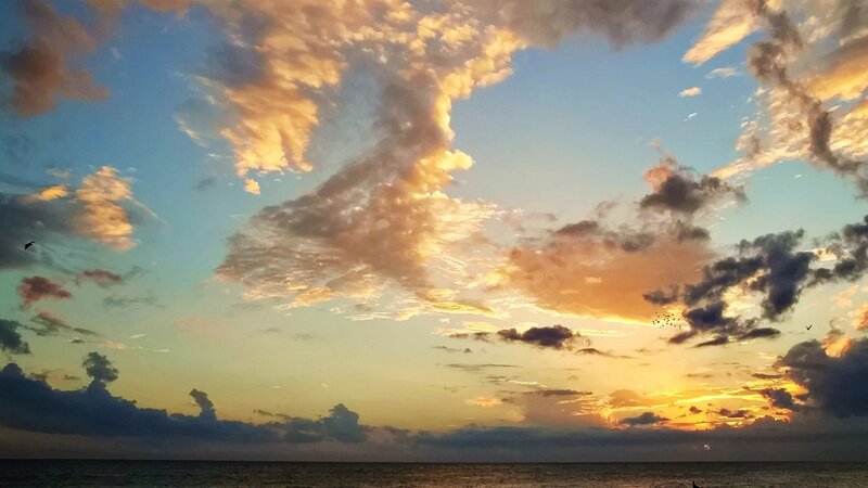 Sunset over Ocean — Blue, Serene, Photograph, Clouds, Birds