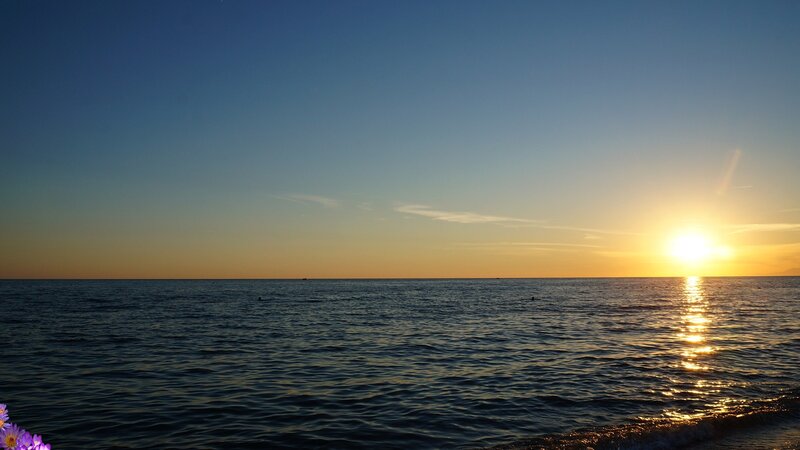 Sunset over Ocean — Blue, Serene, Photograph, Flowers