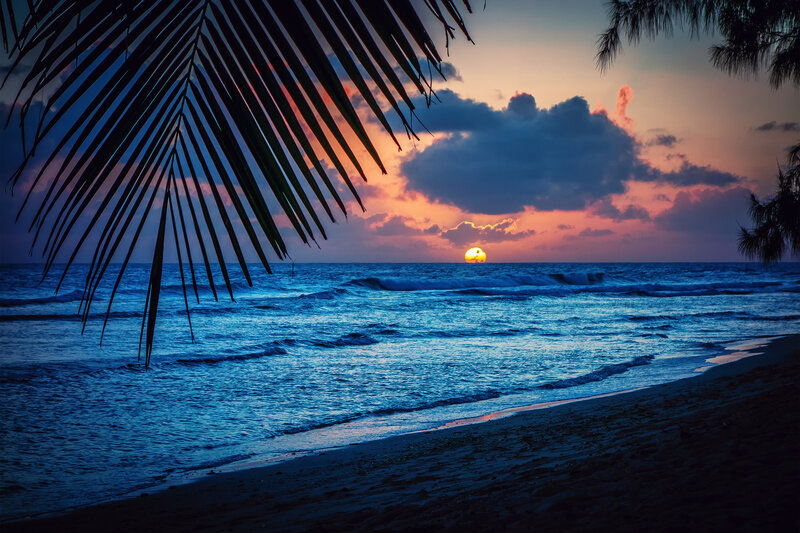 Sunset over Ocean — Blue, Serene, Photograph, Palm Fronds, Clouds