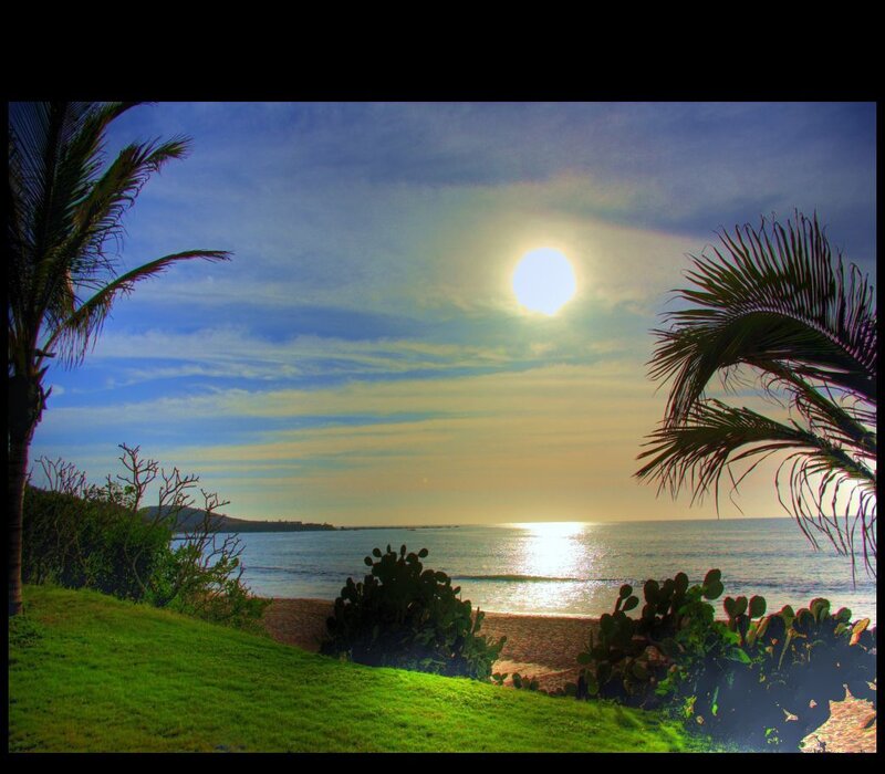 Sunset over Ocean — Blue, Serene, Photograph, Palm Trees, Cactus