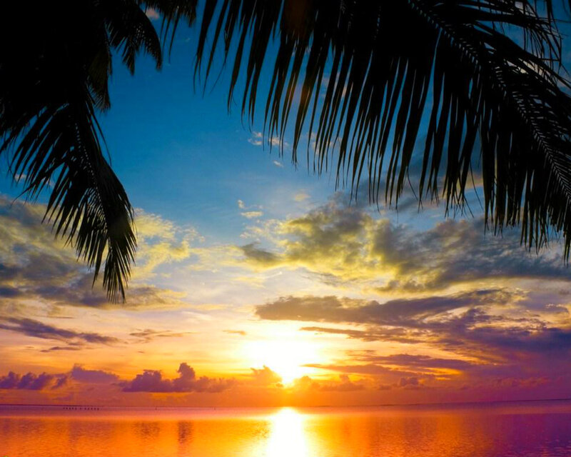 Sunset over Ocean — Blue, Serene, Photograph, Palm Trees, Sky