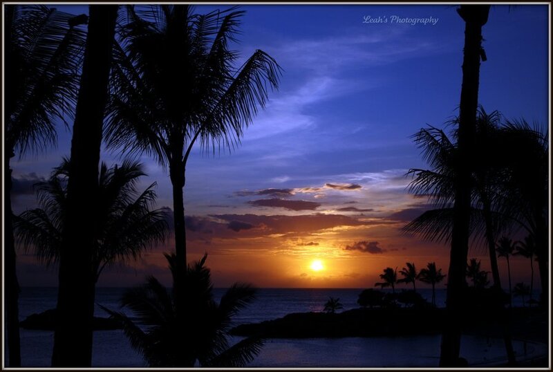 Sunset over Ocean — Blue, Serene, Photograph, Palm Trees