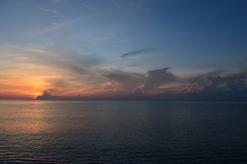 Sunset over Ocean — Blue, Serene, Photograph, Sun, Clouds, Bird