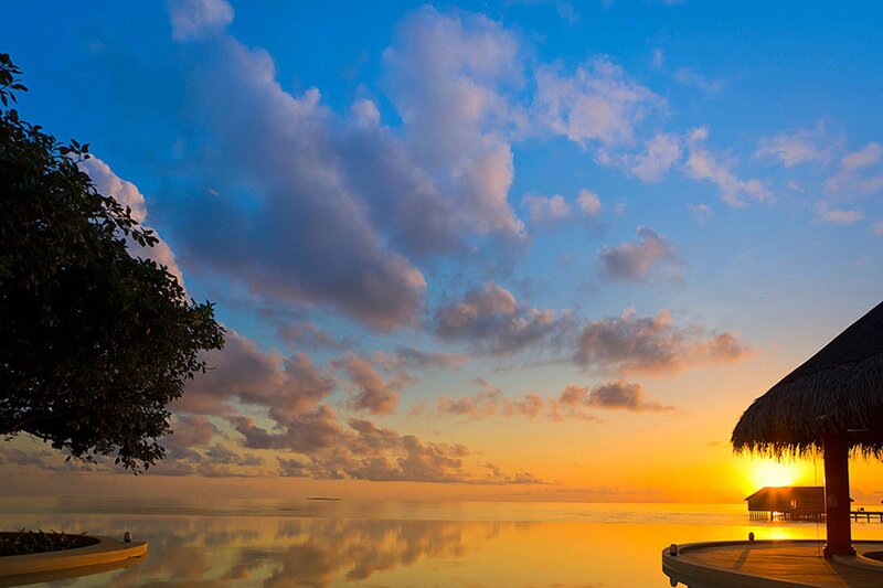Sunset over Ocean — Blue, Serene, Photograph, Tree
