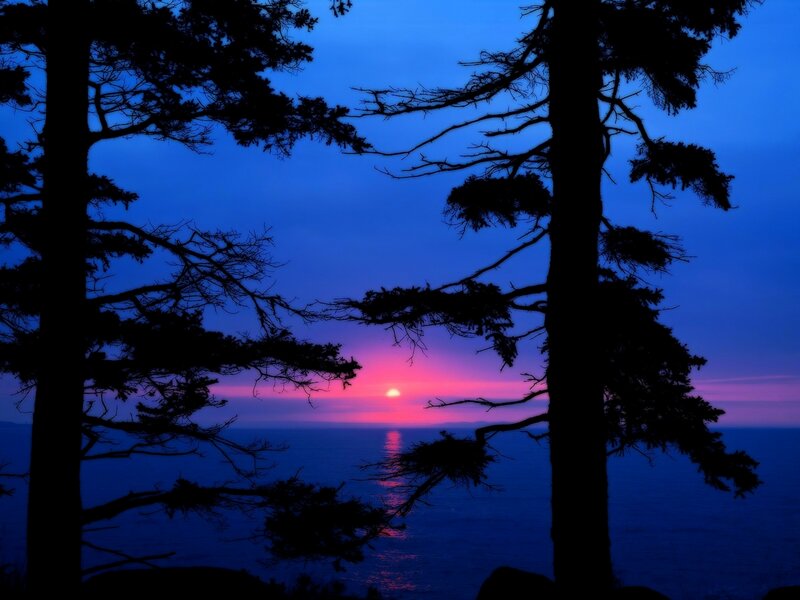 Sunset over Ocean — Blue, Serene, Photograph, Trees, Sky