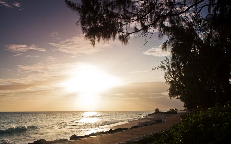 Sunset over Ocean — Blue, Serene, Photograph, Trees