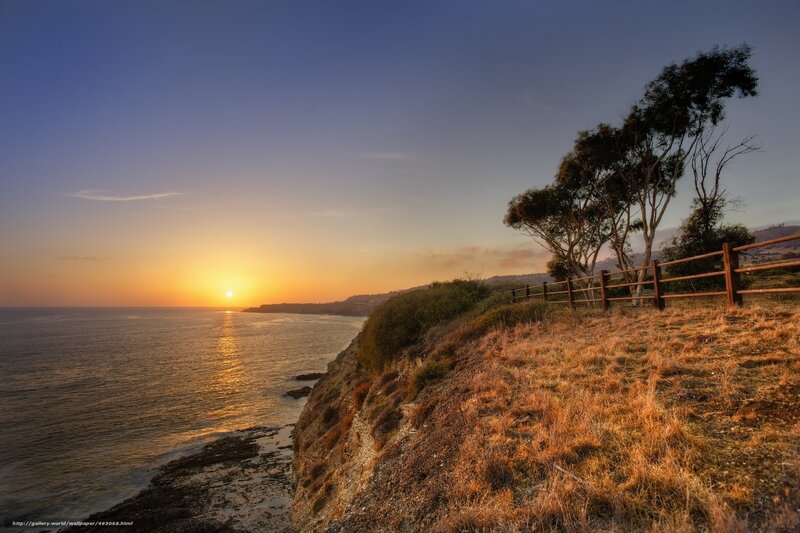 Sunset over Ocean Cliff — Blue, Serene, Photograph, Trees