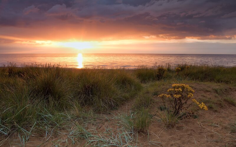 Sunset over Ocean Dunes — Orange