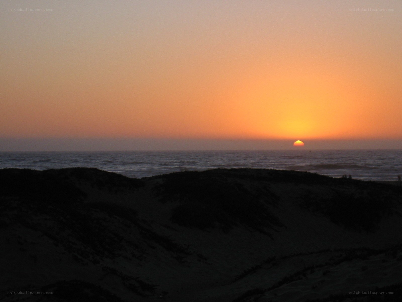 sunset over ocean dunes