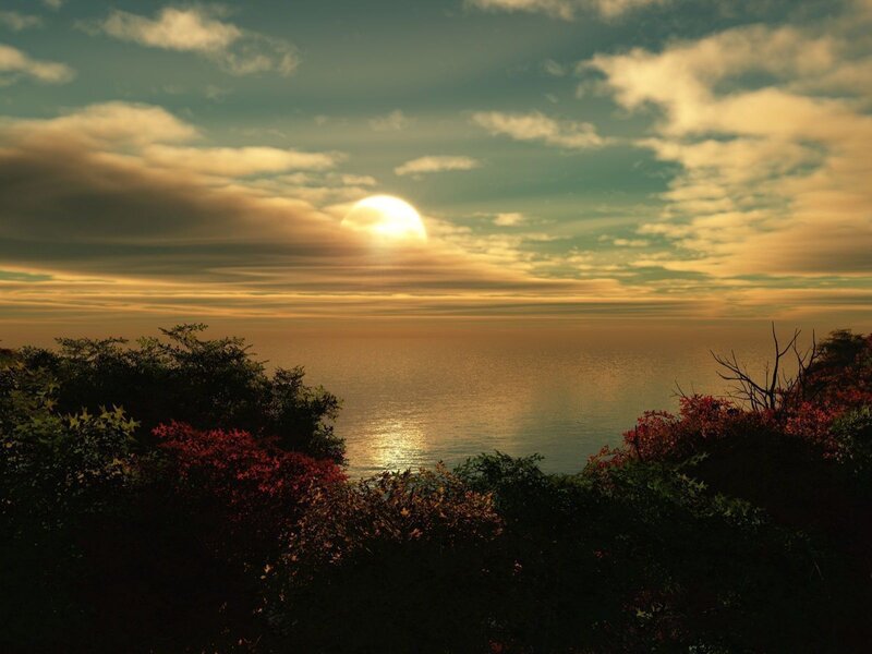 Sunset over Ocean — Gold, Serene, Photograph, Clouds, Trees
