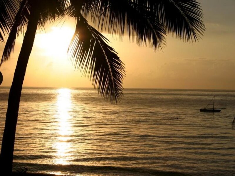 Sunset over Ocean — Gold, Serene, Photograph, Palm Tree, Boat