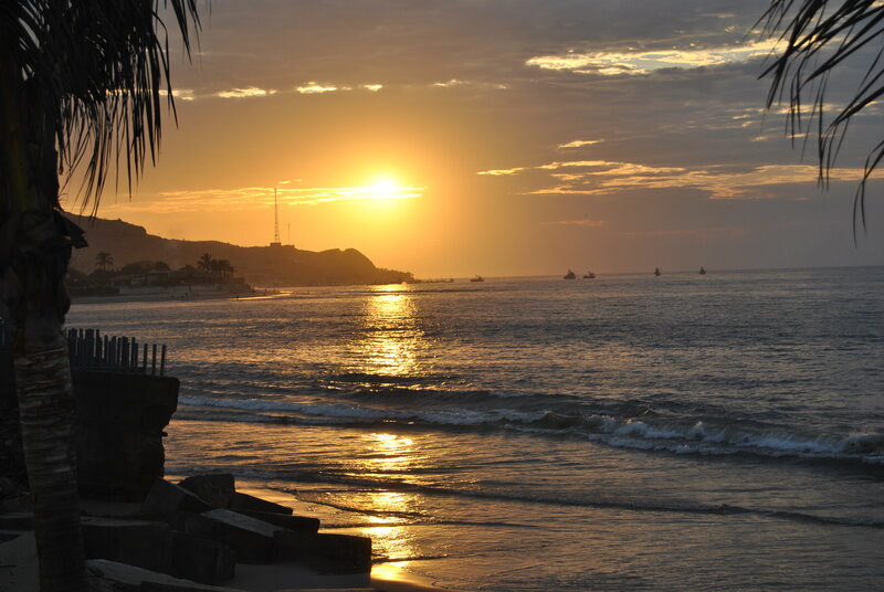 Sunset over Ocean — Gold, Serene, Photograph, Palm Tree