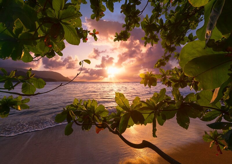 Sunset over Ocean — Green, Serene, Photograph