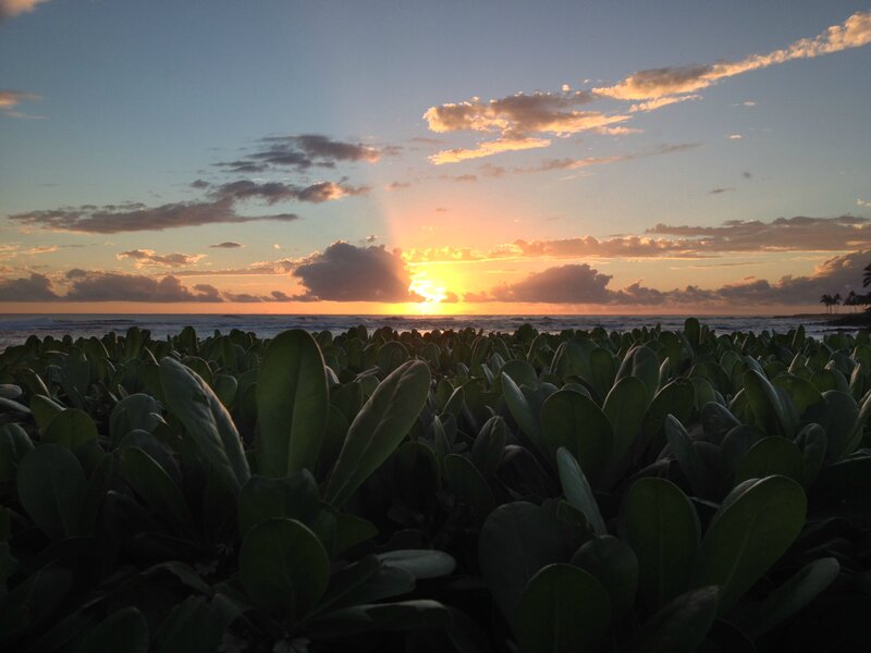 Sunset over Ocean — Green, Serene