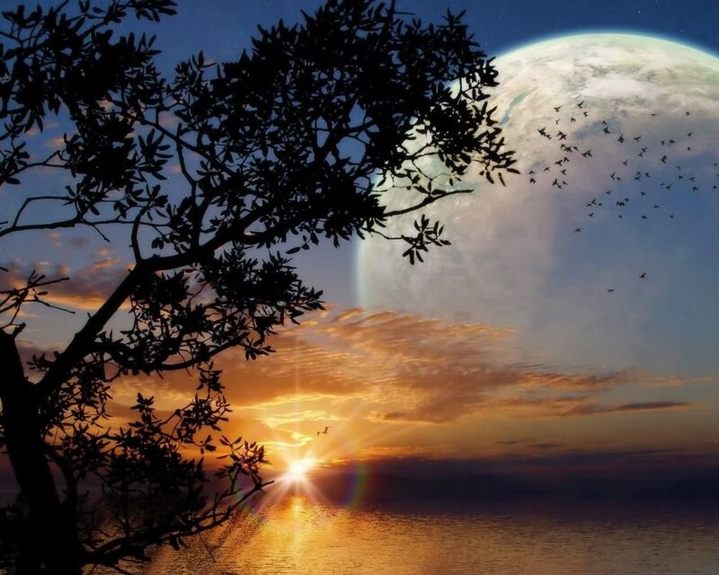 Sunset over Ocean — Orange, Dramatic, Digital Art, Tree