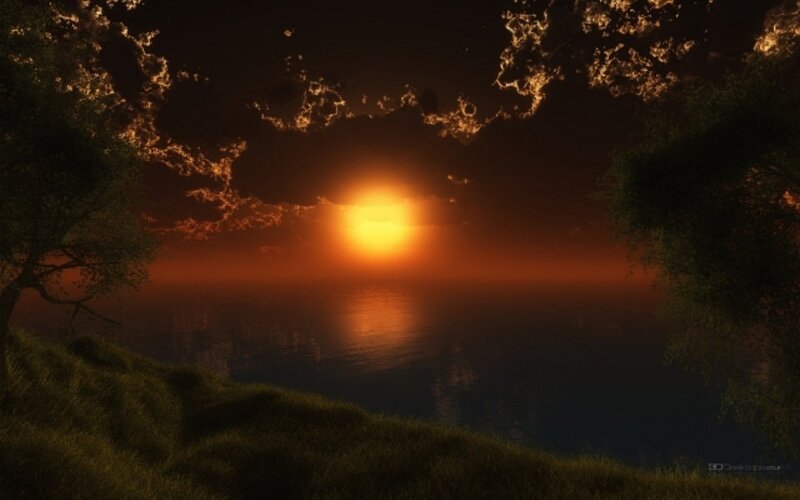 Sunset over Ocean — Orange, Dramatic, Digital Art, Trees