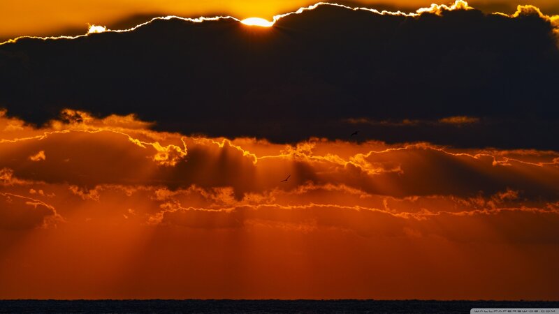 Sunset over Ocean — Orange, Dramatic, Photograph, Clouds, Bird, Sea