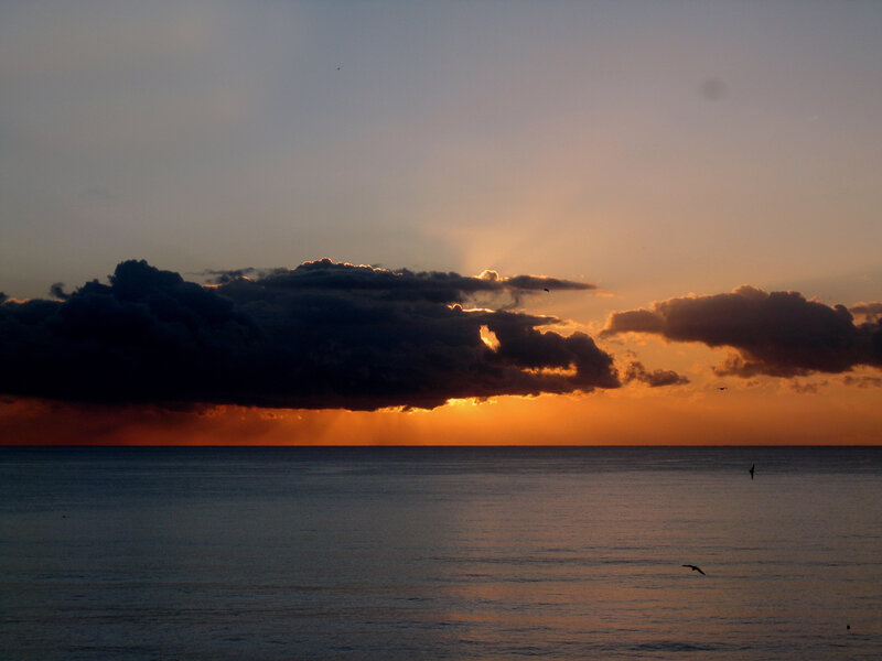 Sunset over Ocean — Orange, Dramatic, Photograph, Clouds, Birds, Sea