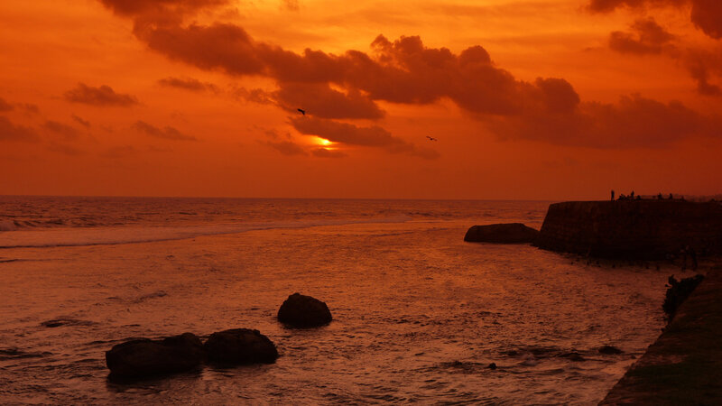 Sunset over Ocean — Orange, Dramatic, Photograph, Clouds, Birds