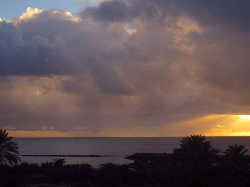 Sunset over Ocean — Orange, Dramatic, Photograph, Clouds, Palm Trees, Sea