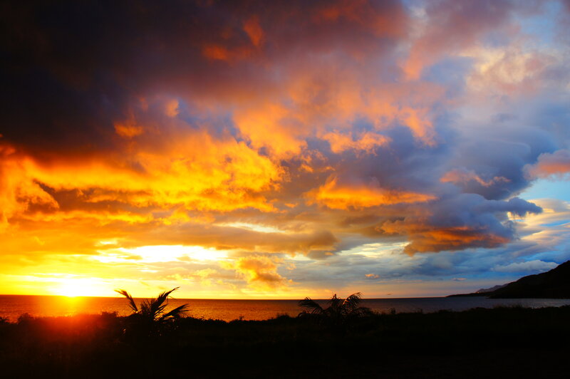Sunset over Ocean — Orange, Dramatic, Photograph, Clouds, Palm Trees