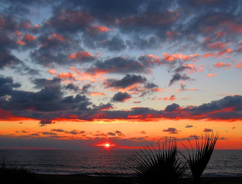 Sunset over Ocean — Orange, Dramatic, Photograph, Clouds, Plants