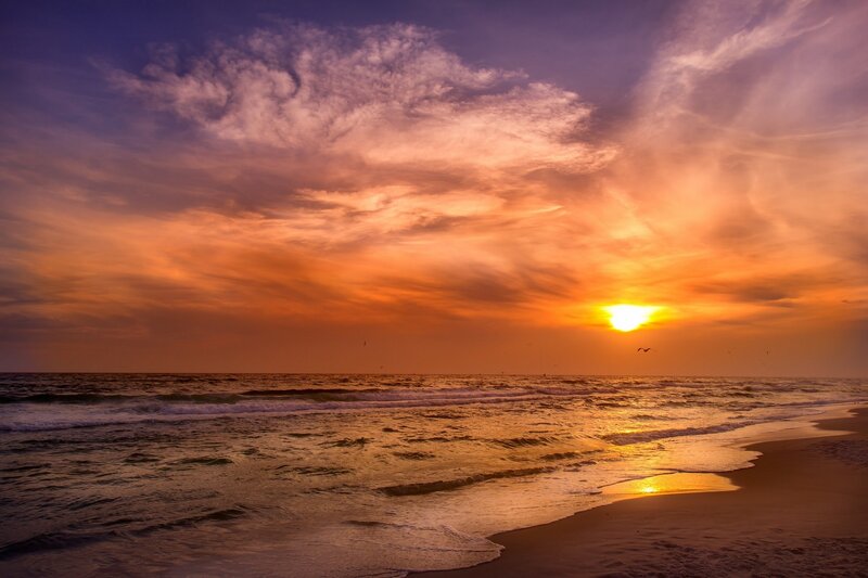 Sunset over Ocean — Orange, Dramatic, Photograph, Clouds, Waves, Bird