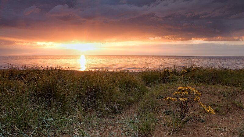 Sunset over Ocean — Orange, Dramatic, Photograph, Grass