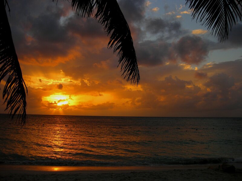 Sunset over Ocean — Orange, Dramatic, Photograph, Palm Fronds