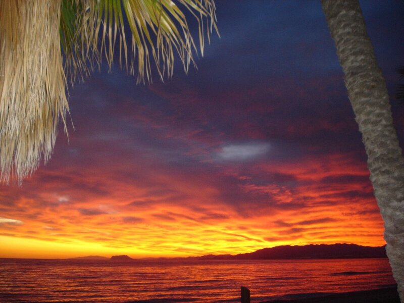 Sunset over Ocean — Orange, Dramatic, Photograph, Palm Tree, Mountains