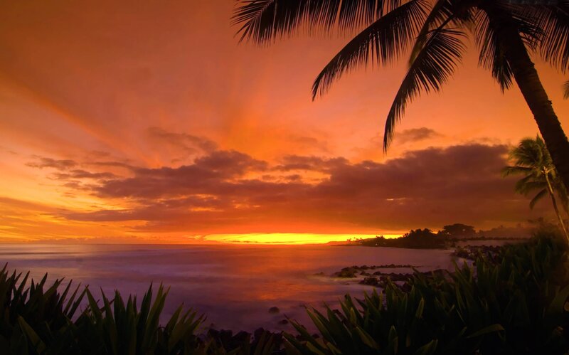 Sunset over Ocean — Orange, Dramatic, Photograph, Palm Tree