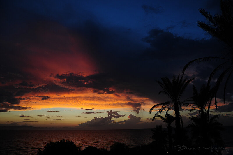 Sunset over Ocean — Orange, Dramatic, Photograph, Palm Trees, Clouds