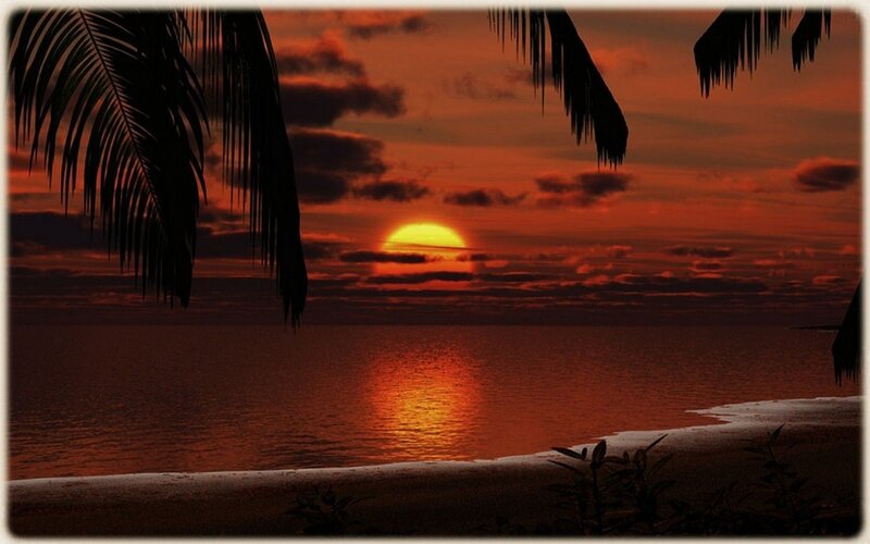 Sunset over Ocean — Orange, Dramatic, Photograph, Palm Trees