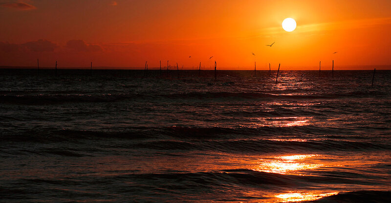 Sunset over Ocean — Orange, Dramatic, Photograph, Sun, Birds